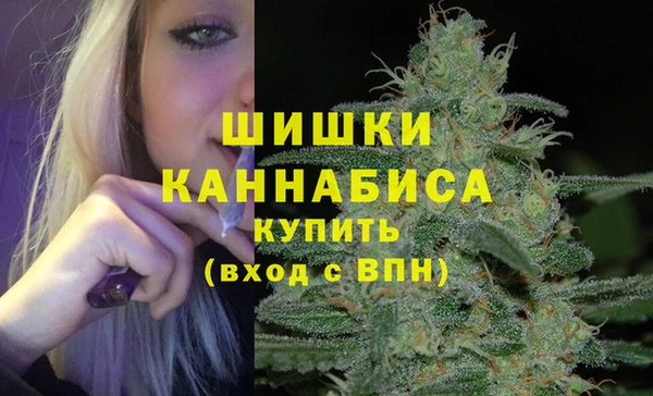 шишки Майский