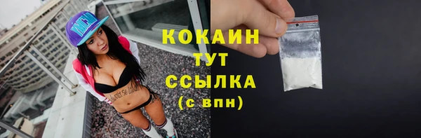 шишки Майский