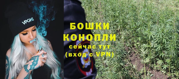 шишки Майский